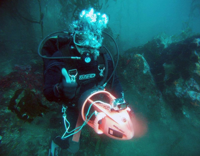  Diving in Baja 